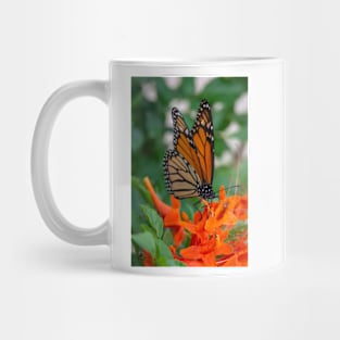 Monarch Butterfly on Cape Honeysuckle Mug